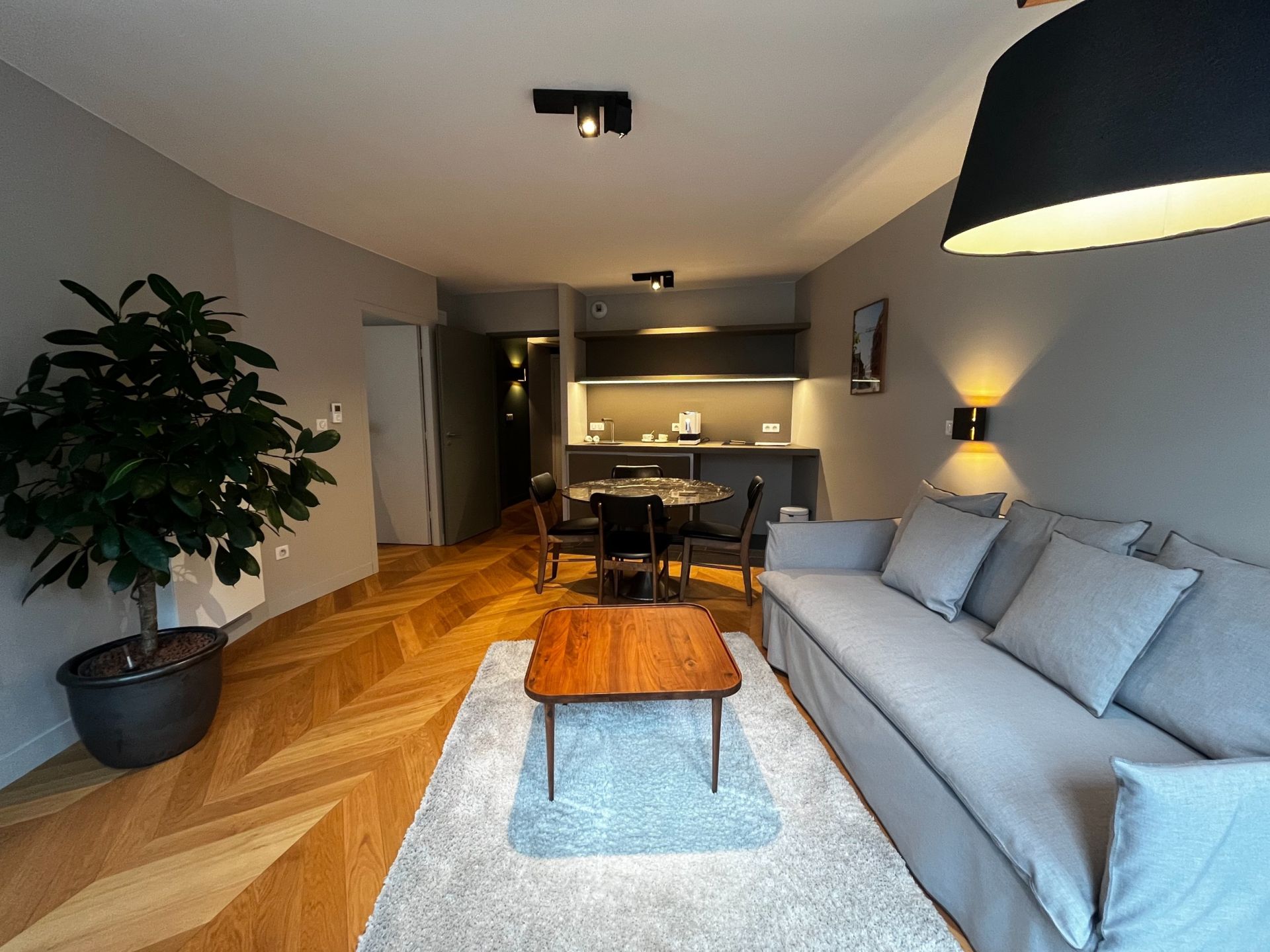luxury apartment 2 Rooms for rent on LILLE (59800)