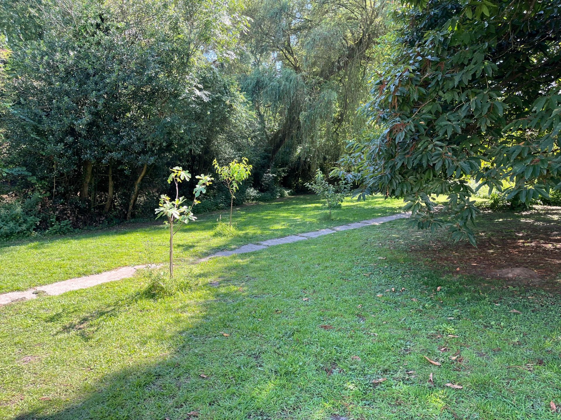luxury house 14 Rooms for sale on VILLERS SIRE NICOLE (59600)