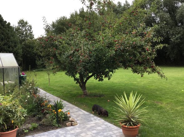 Vente Maison de luxe Marcq-en-Barœul 6 Pièces 210 m²