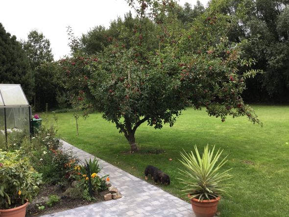 Vente Maison de luxe Marcq-en-Barœul 6&nbsp;Pièces 210&nbsp;m²