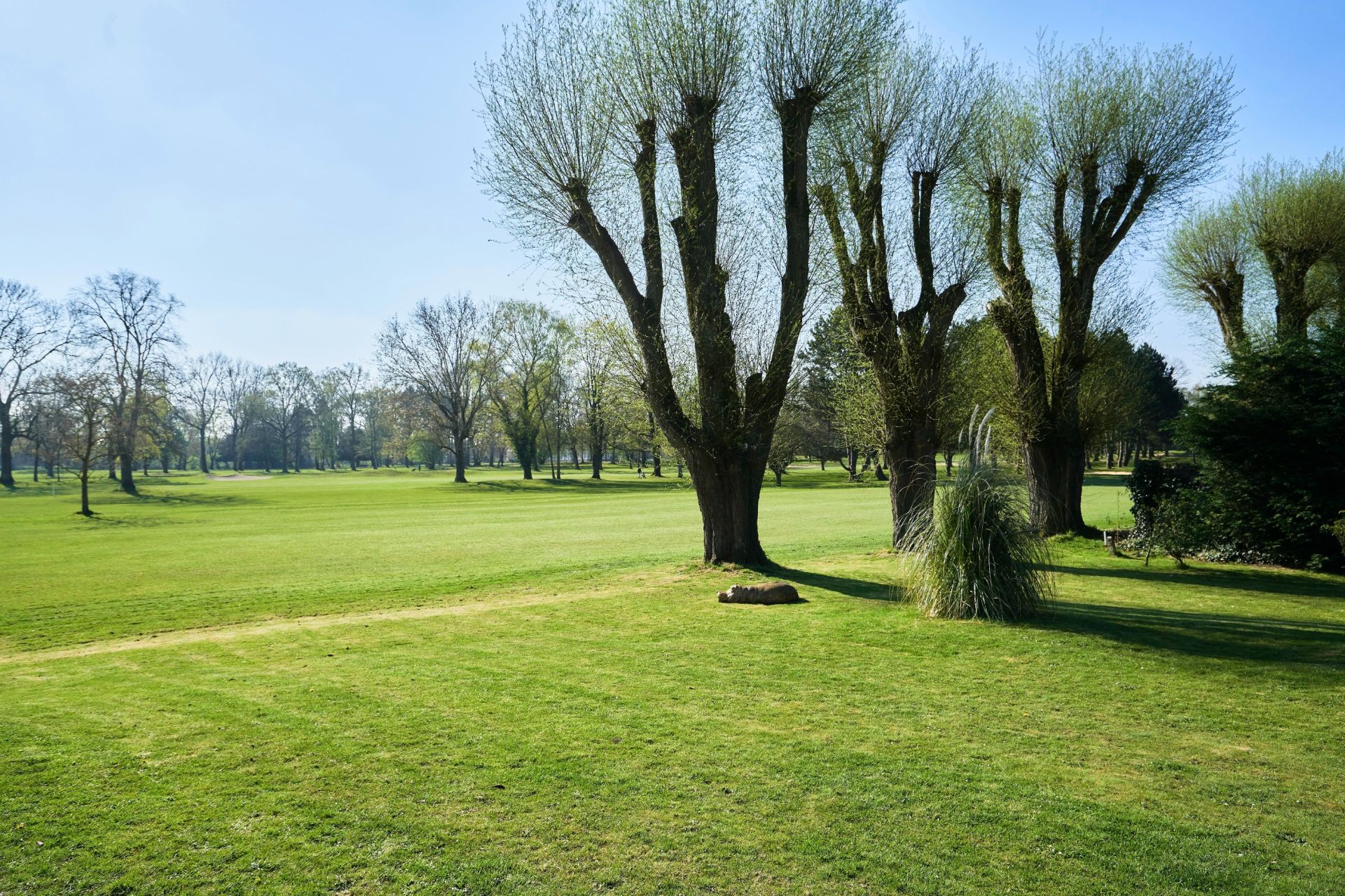 maison de luxe 5 Pièces en vente sur WASQUEHAL (59290)