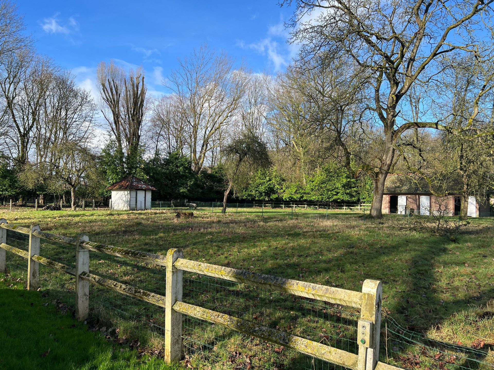 maison de luxe 8 Pièces en vente sur VILLENEUVE D ASCQ (59650)