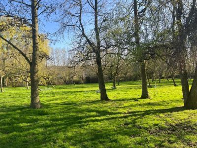 Vente Maison de luxe Lille 15 Pièces 1250 m²