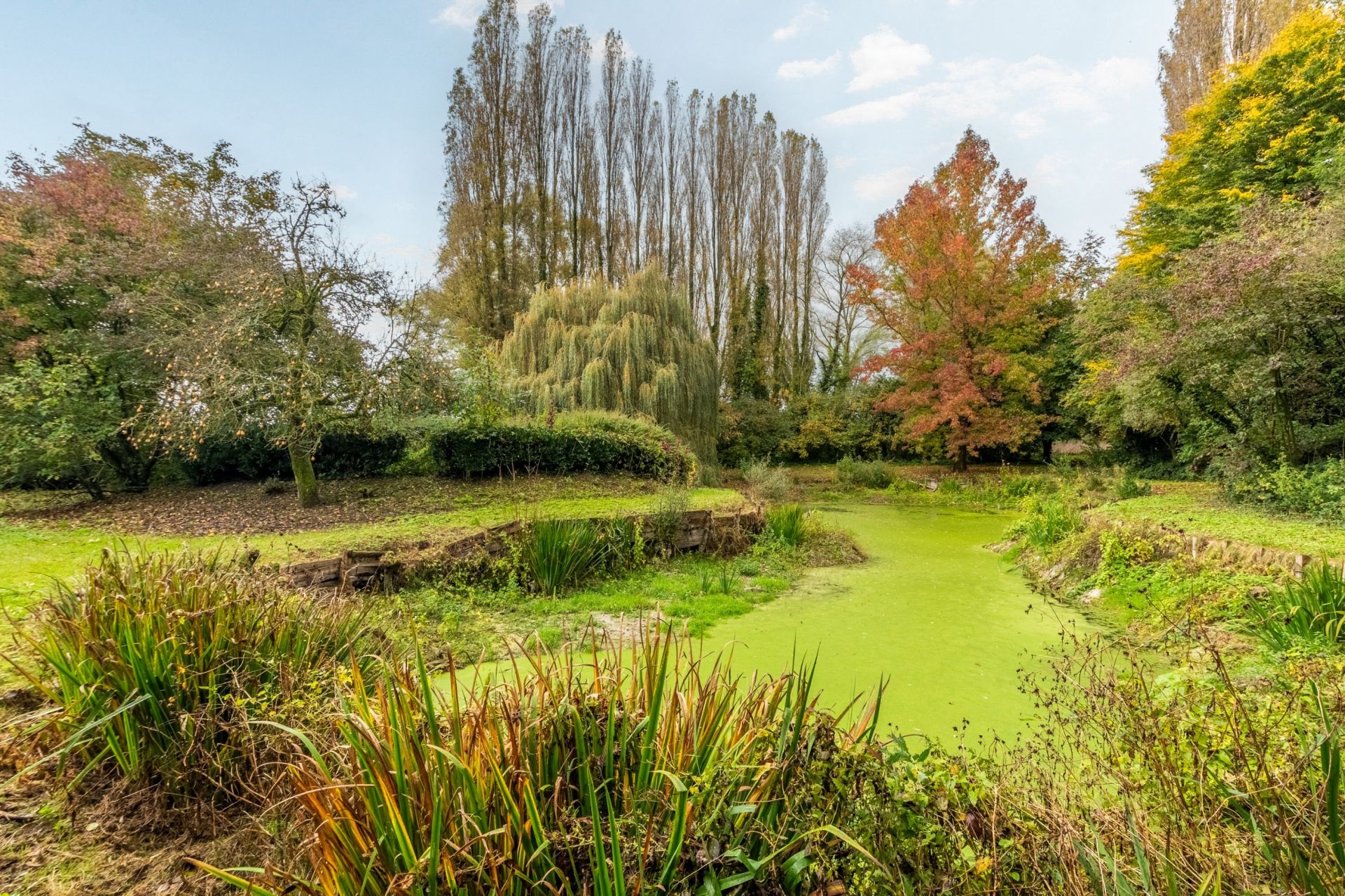 maison de luxe 17 Pièces en vente sur BONDUES (59910)