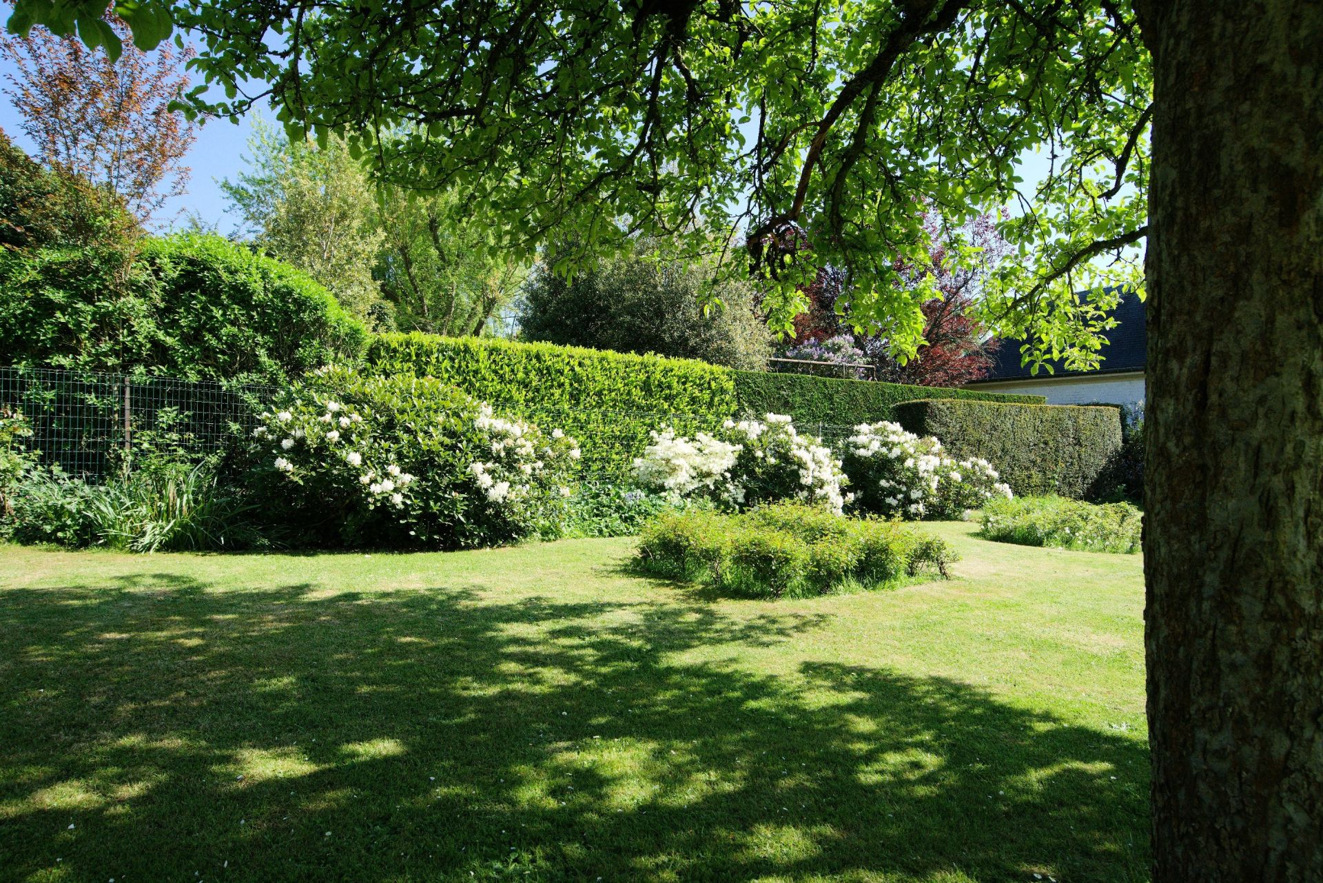 maison de luxe 9 Pièces en vente sur CROIX (59170)