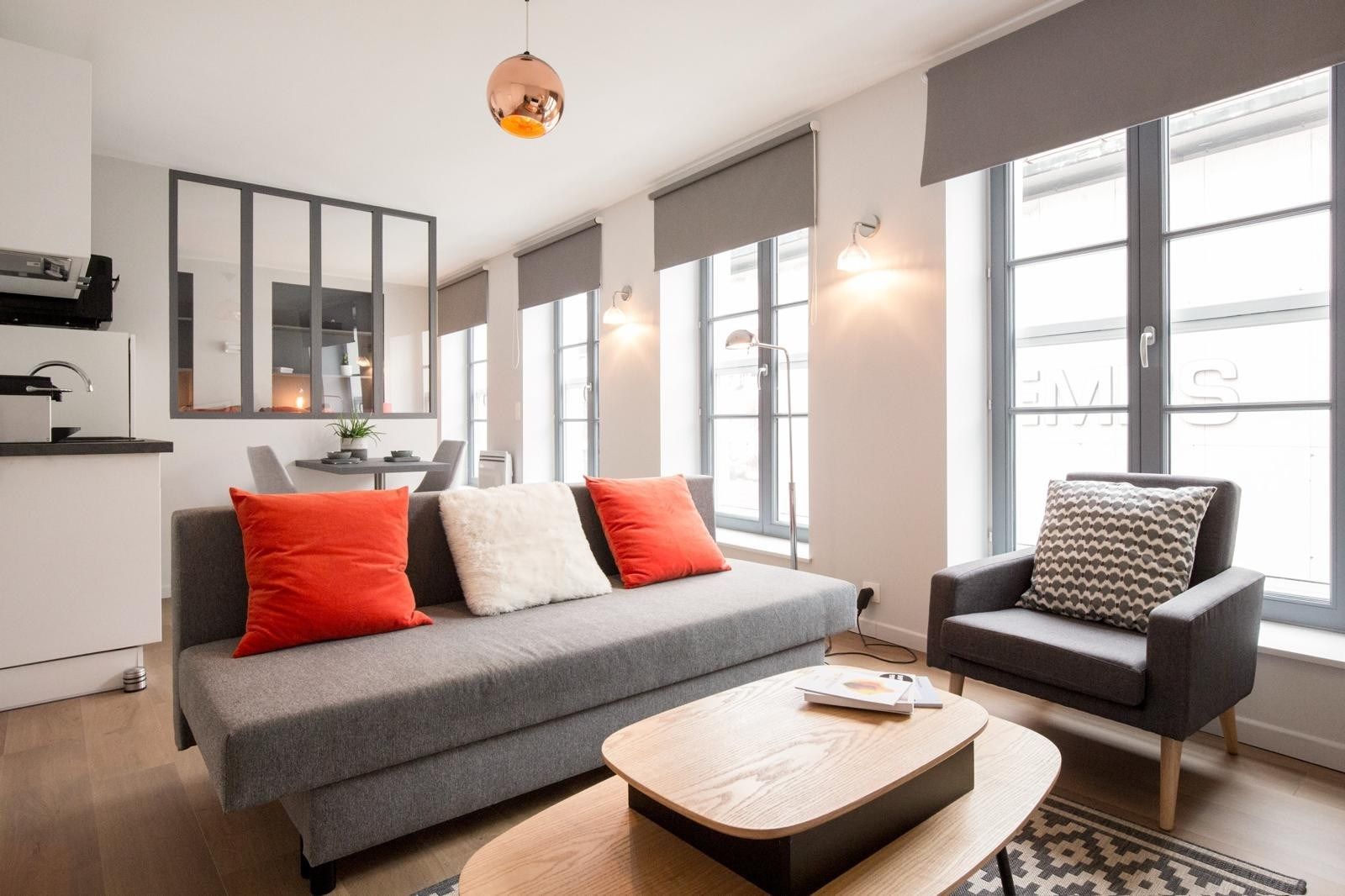 luxury apartment 2 Rooms for rent on LILLE (59000)