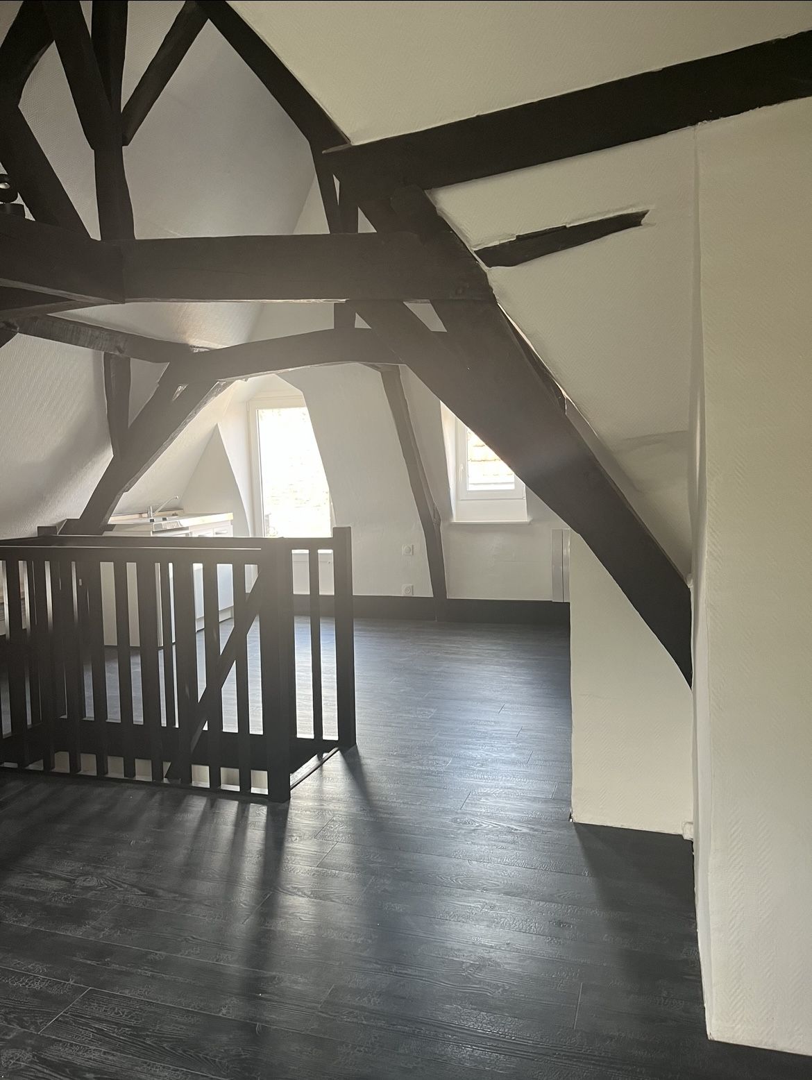 luxury apartment 1 room for rent on LILLE (59000)