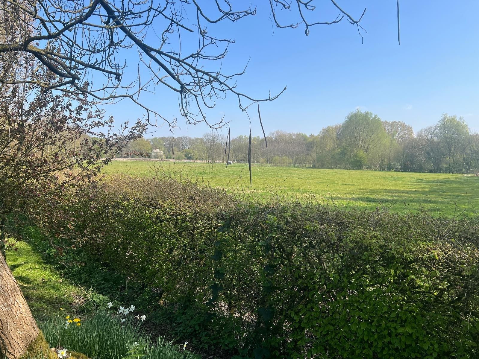 luxury house 10 Rooms for sale on VILLENEUVE D ASCQ (59650)