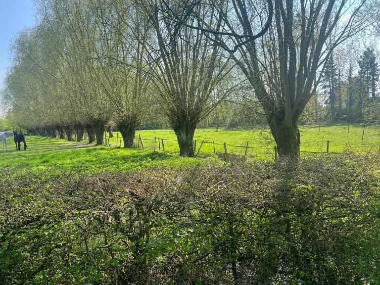 luxury house 10 Rooms for sale on VILLENEUVE D ASCQ (59650)