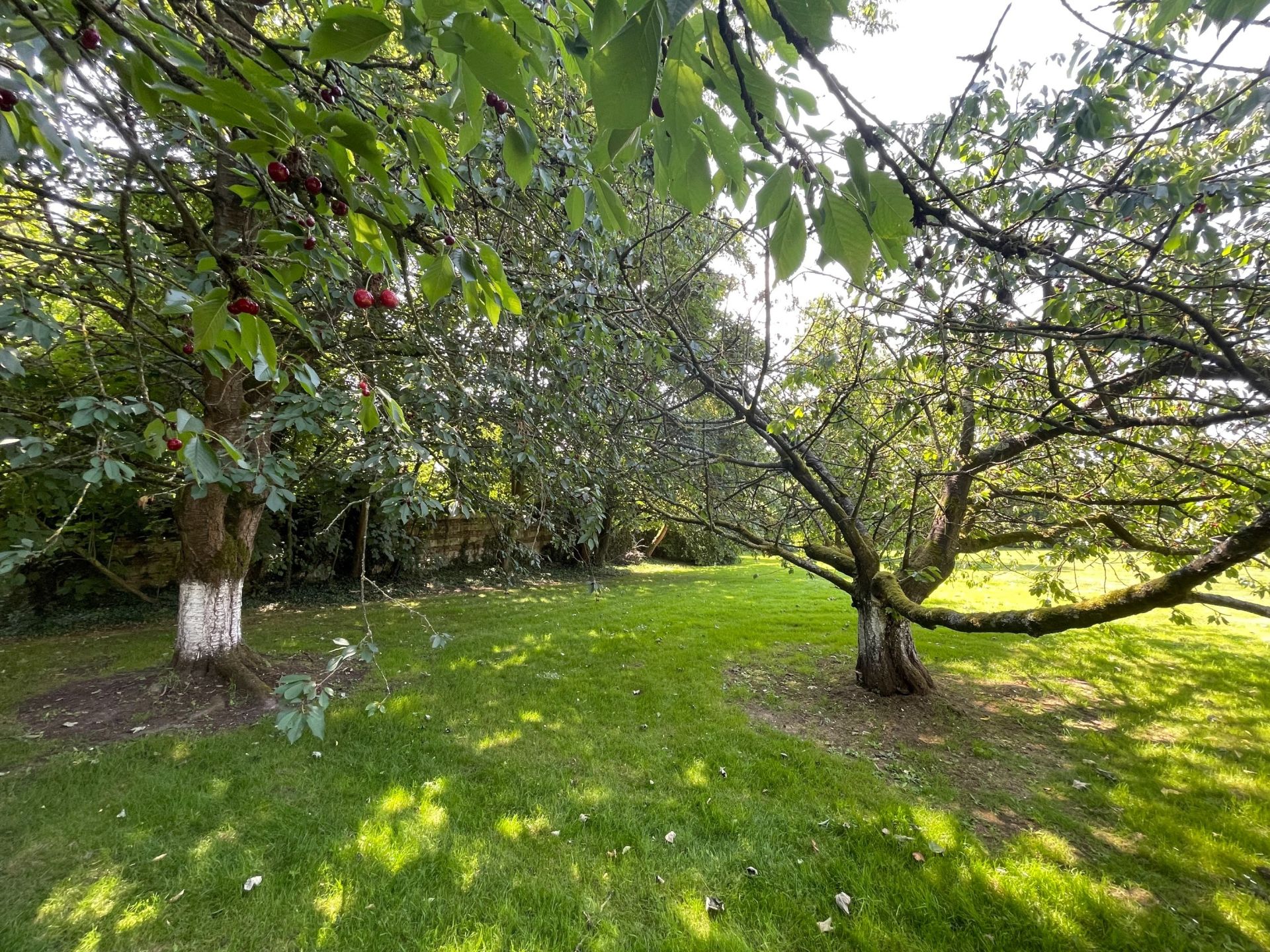 luxury house 11 Rooms for sale on LEWARDE (59287)