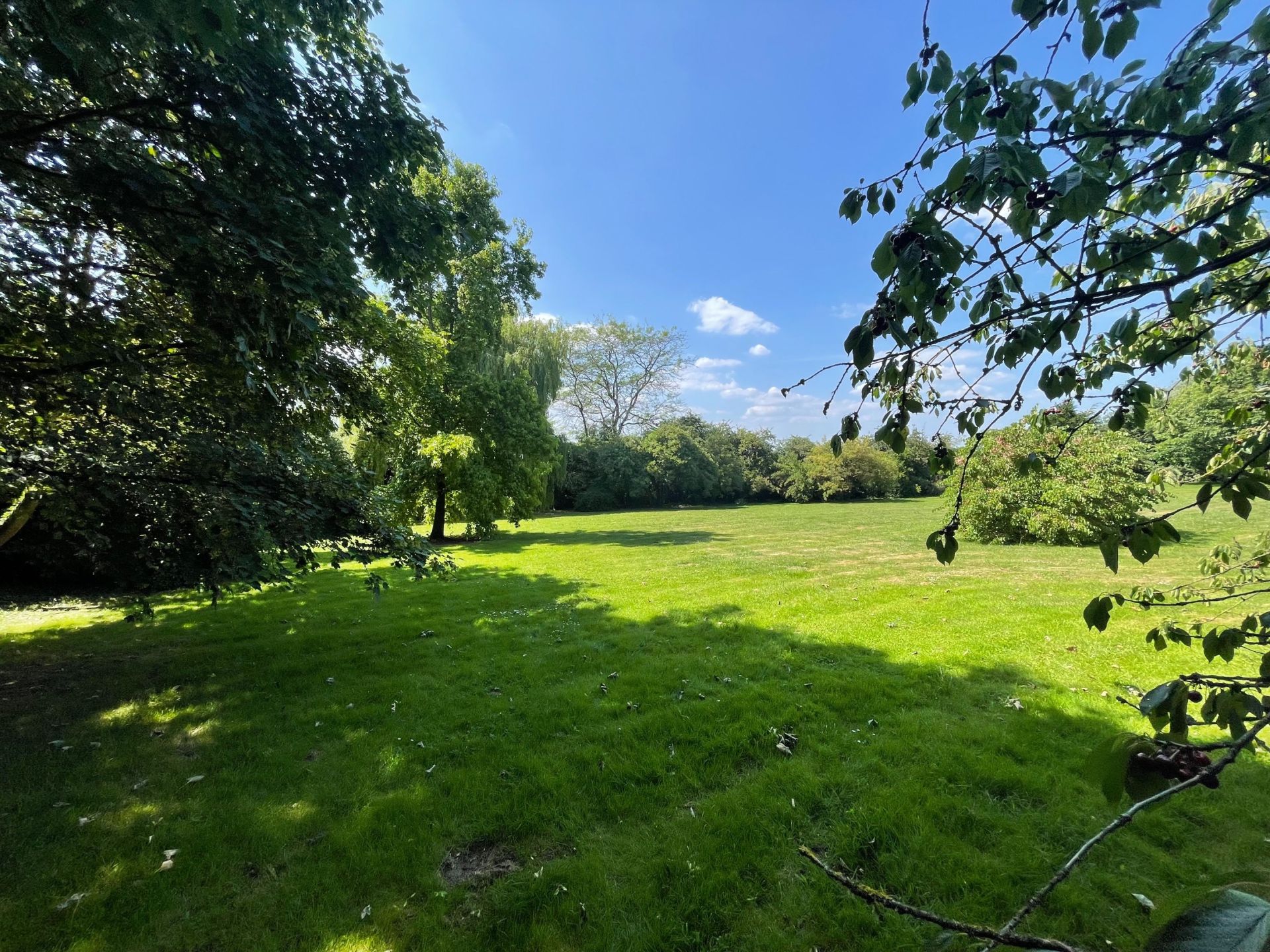 luxury house 11 Rooms for sale on LEWARDE (59287)