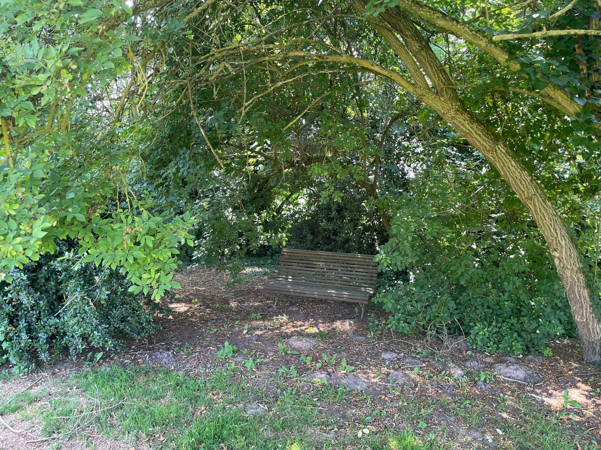 luxury house 11 Rooms for sale on LEWARDE (59287)