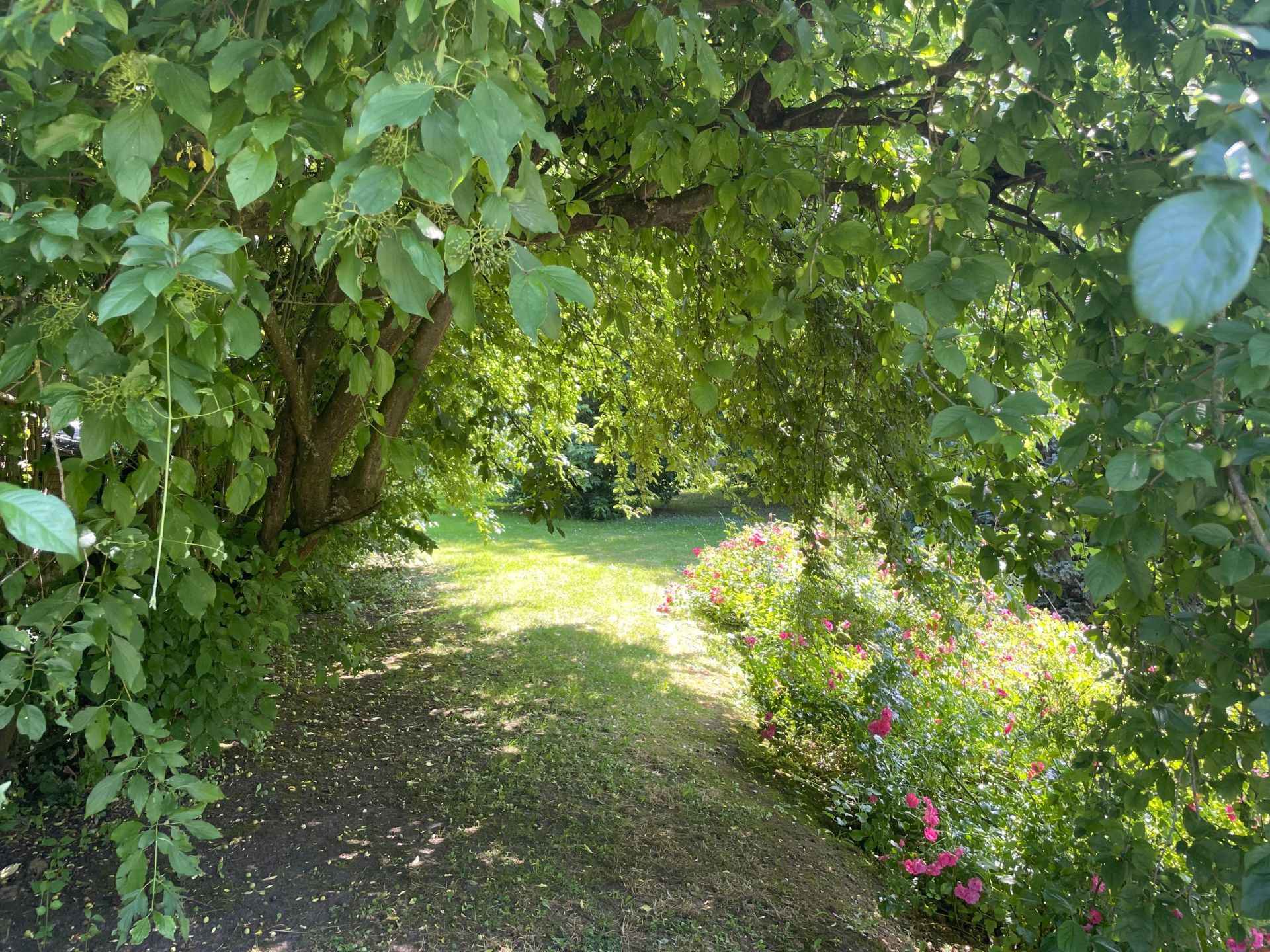 luxury house 11 Rooms for sale on LEWARDE (59287)