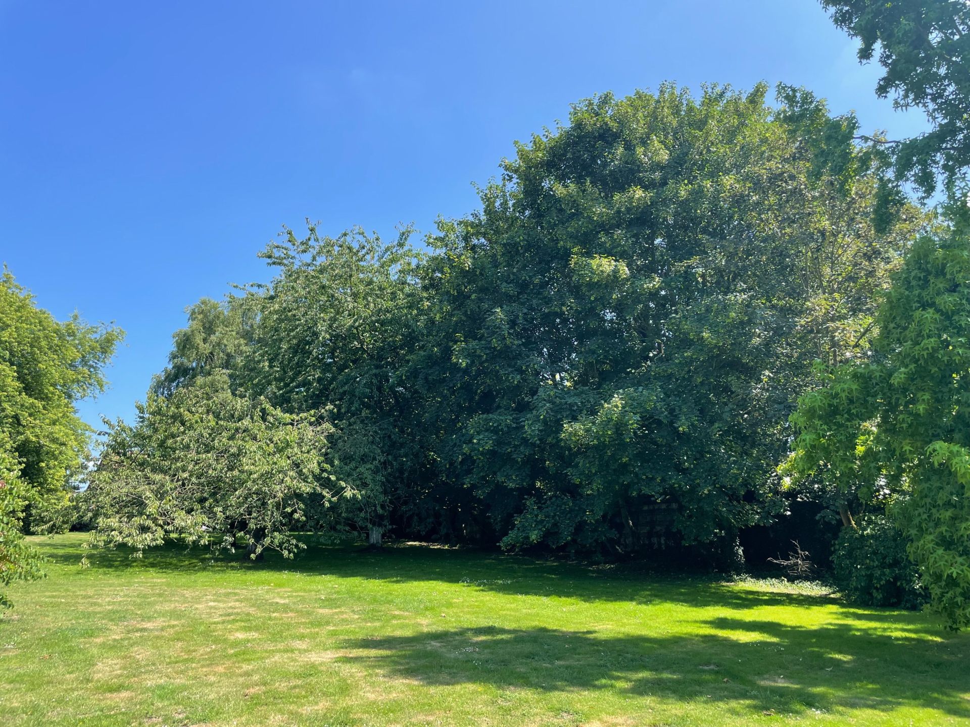 luxury house 11 Rooms for sale on LEWARDE (59287)