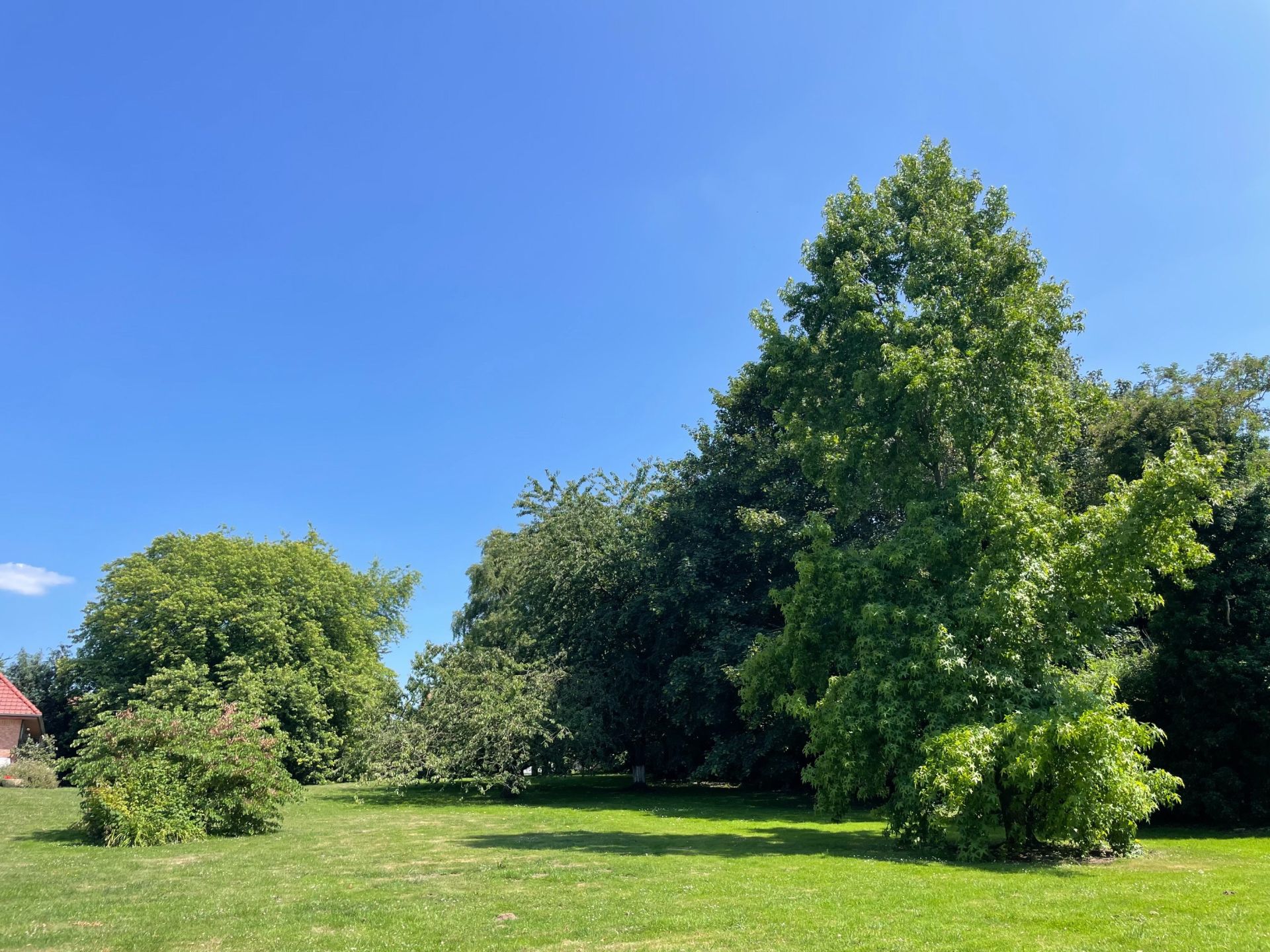 luxury house 11 Rooms for sale on LEWARDE (59287)