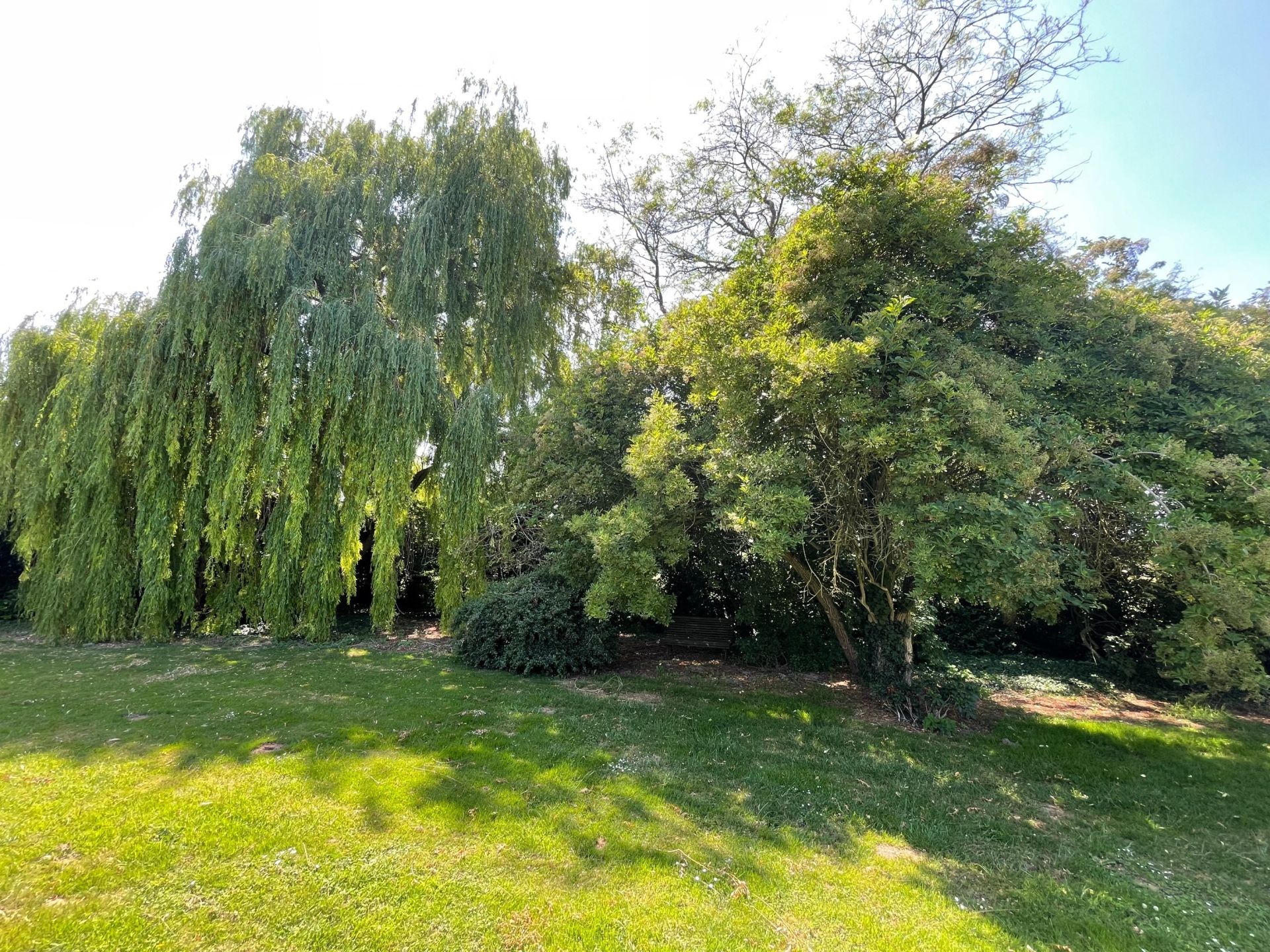 luxury house 11 Rooms for sale on LEWARDE (59287)