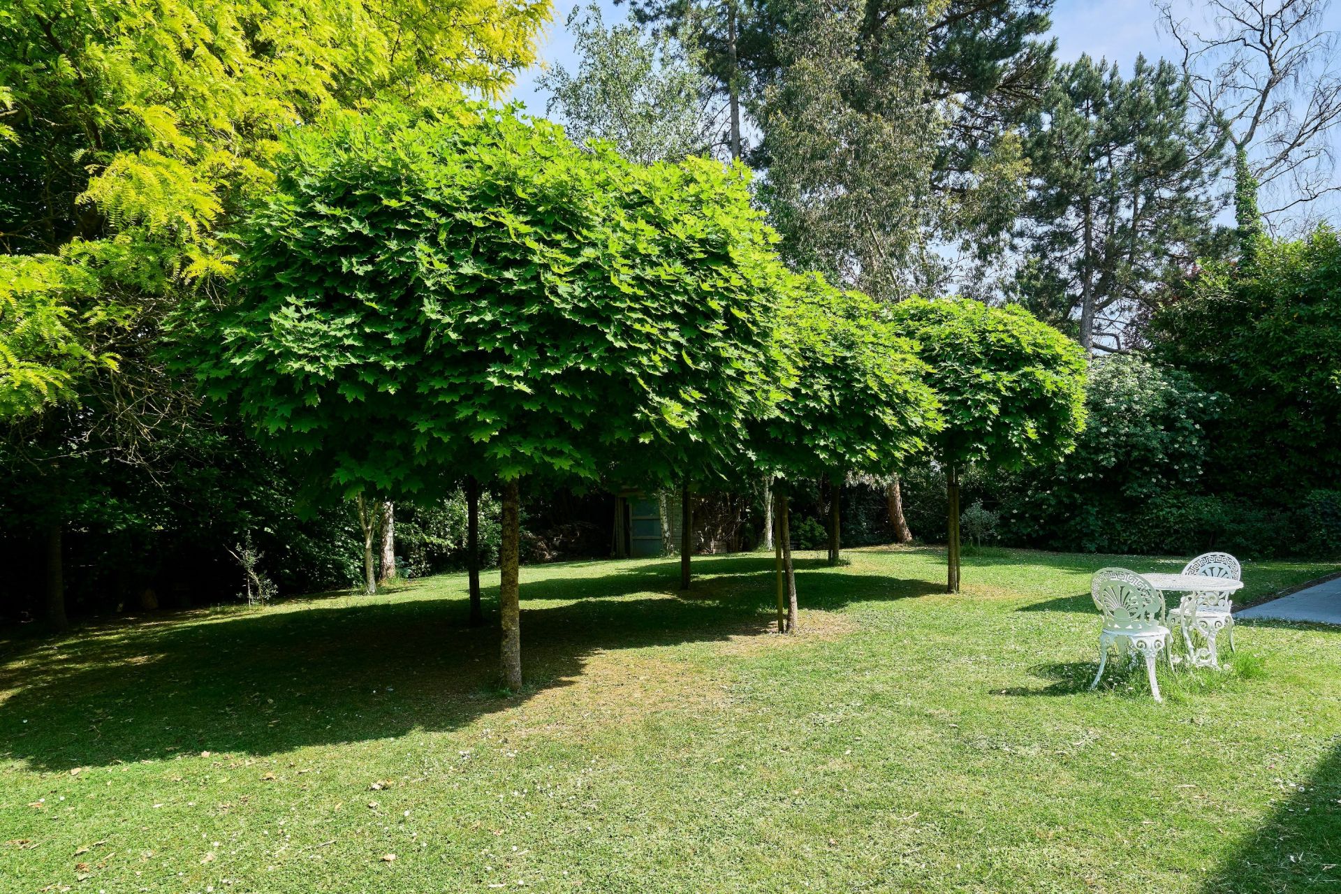 maison de luxe 5 Pièces en vente sur MOUVAUX (59420)