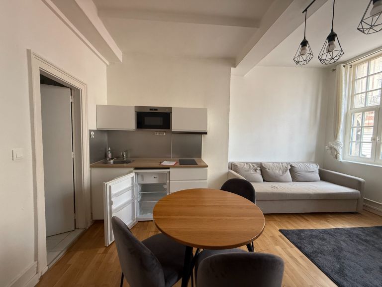 luxury apartment 1 room for sale on LILLE (59000)