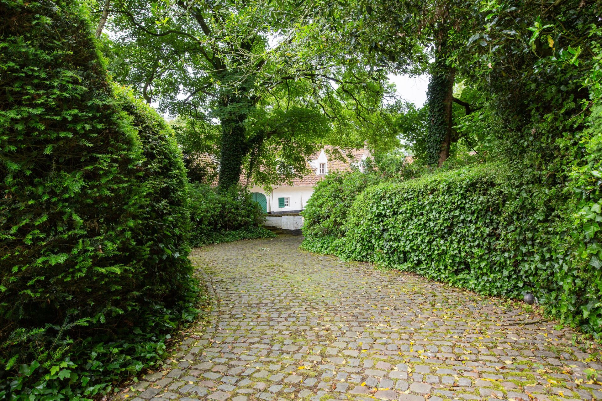 terrain en vente sur MOUVAUX (59420)