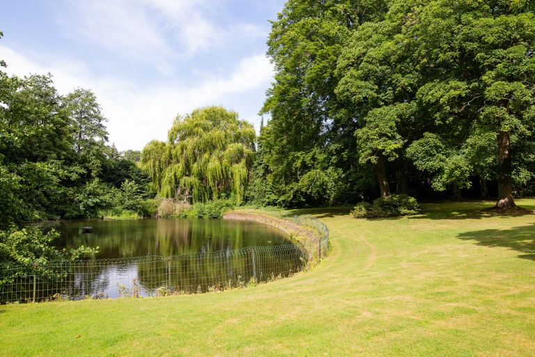 terrain en vente sur MOUVAUX (59420)