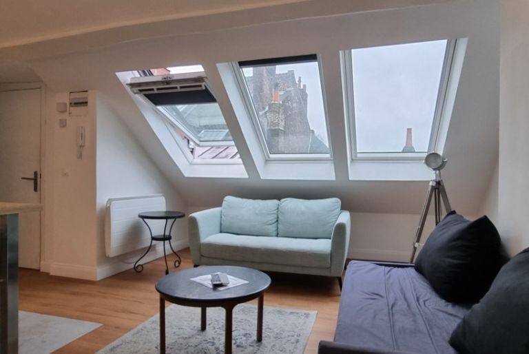 appartement de luxe 2 Pièces en vente sur LILLE (59800)