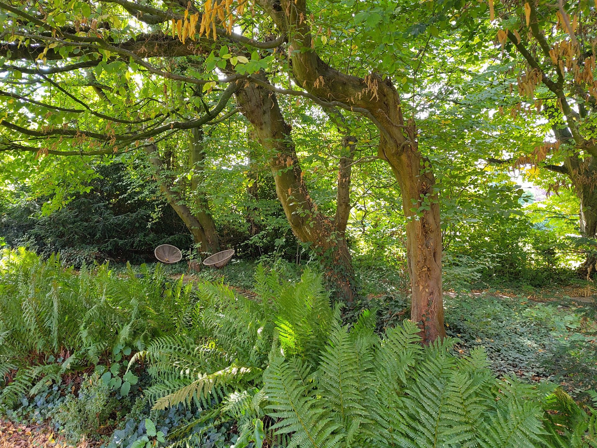 luxury house 9 Rooms for sale on MARCQ EN BAROEUL (59700)