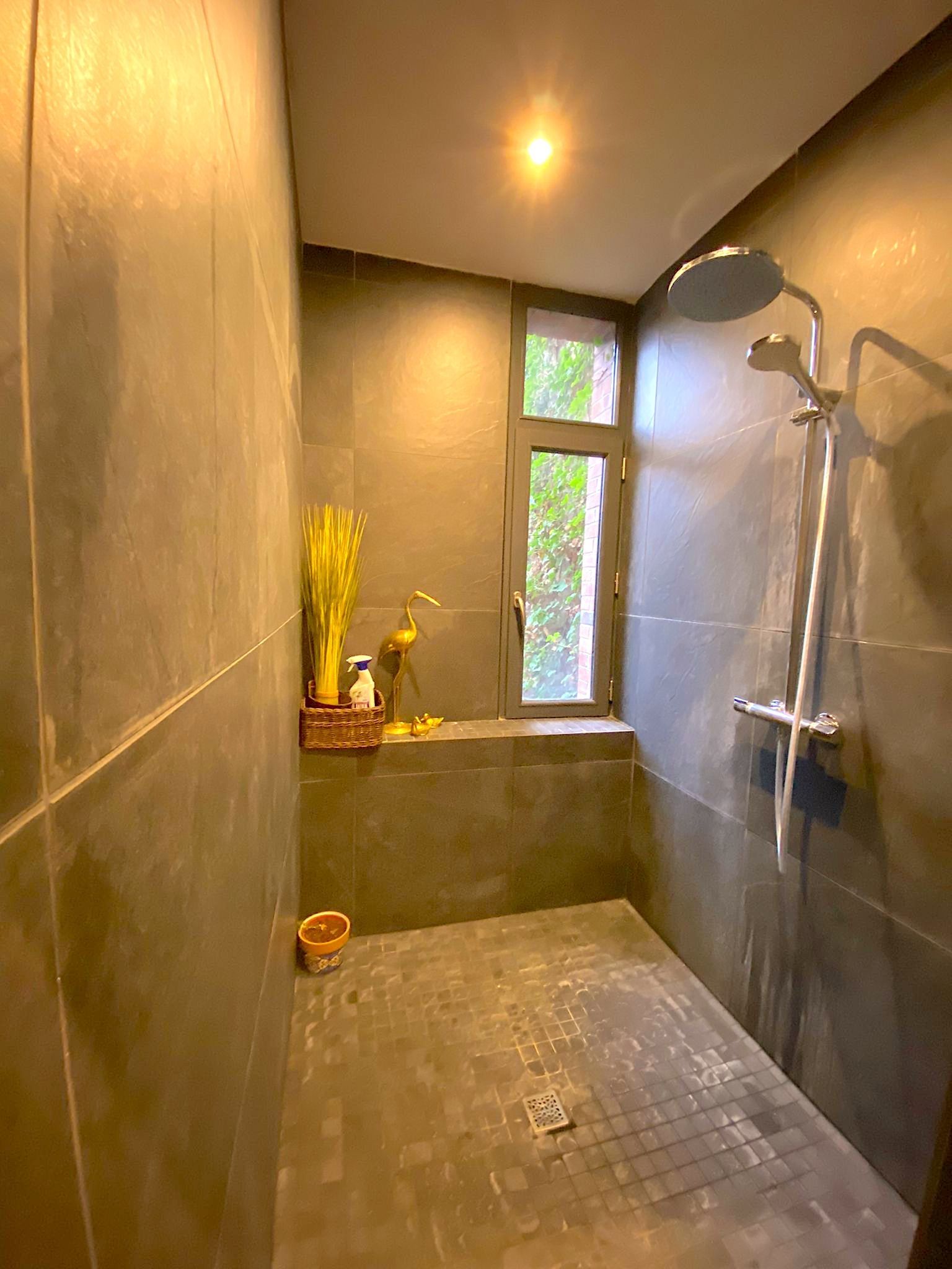 appartement de luxe 2 Pièces en location sur LILLE (59000)