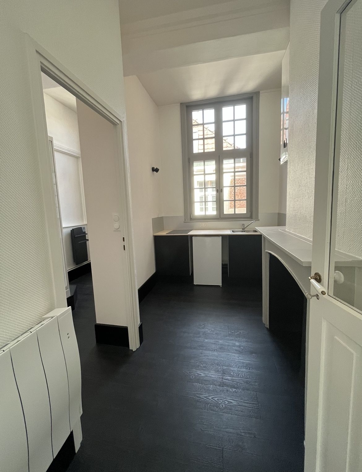 luxury apartment 1 room for rent on LILLE (59000)