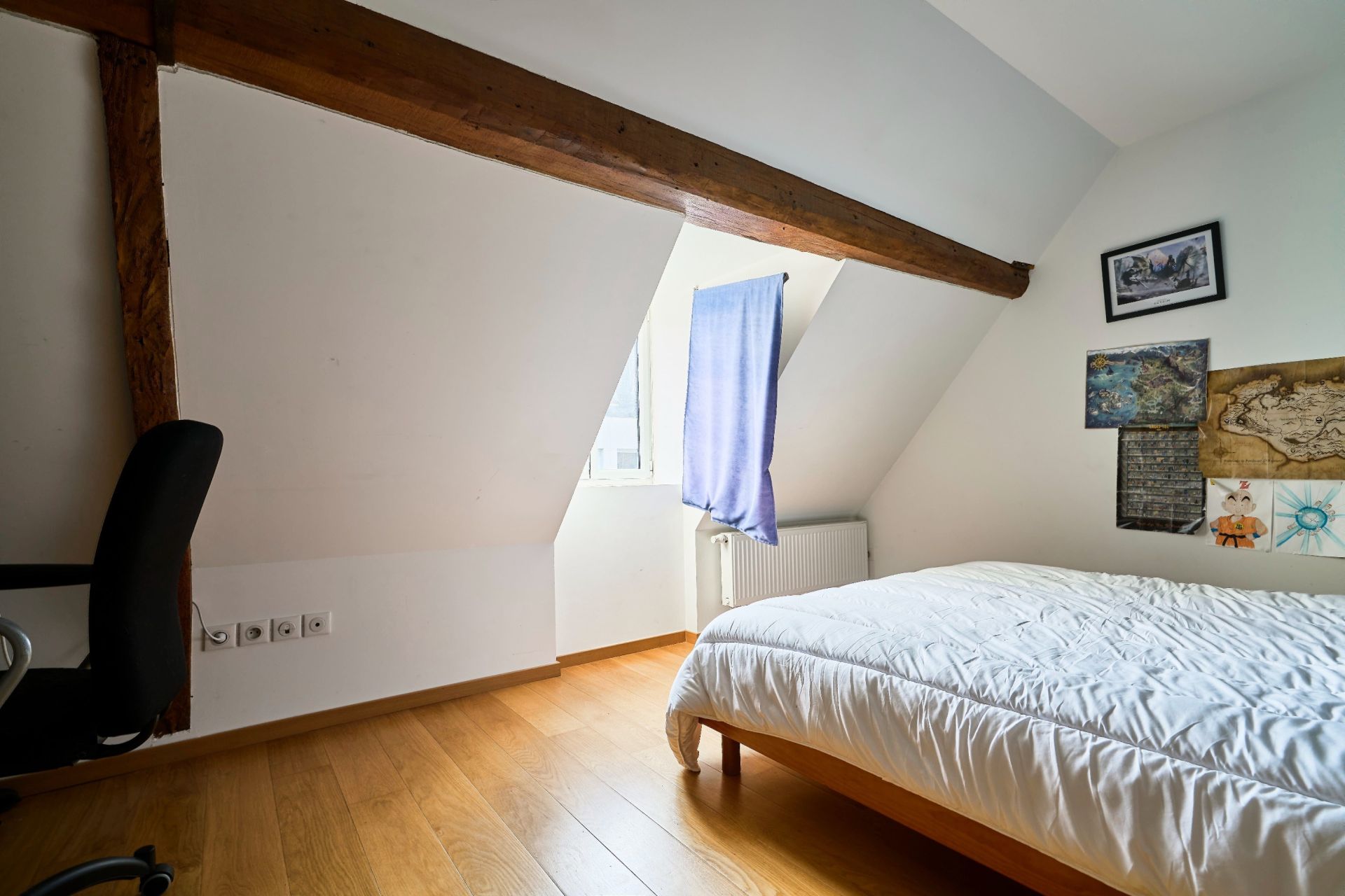 appartement de luxe 5 Pièces en vente sur LILLE (59800)
