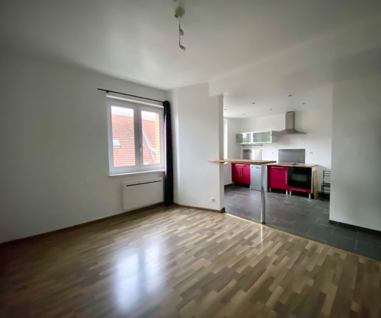 appartement de luxe 2 Pièces en vente sur LILLE (59800)