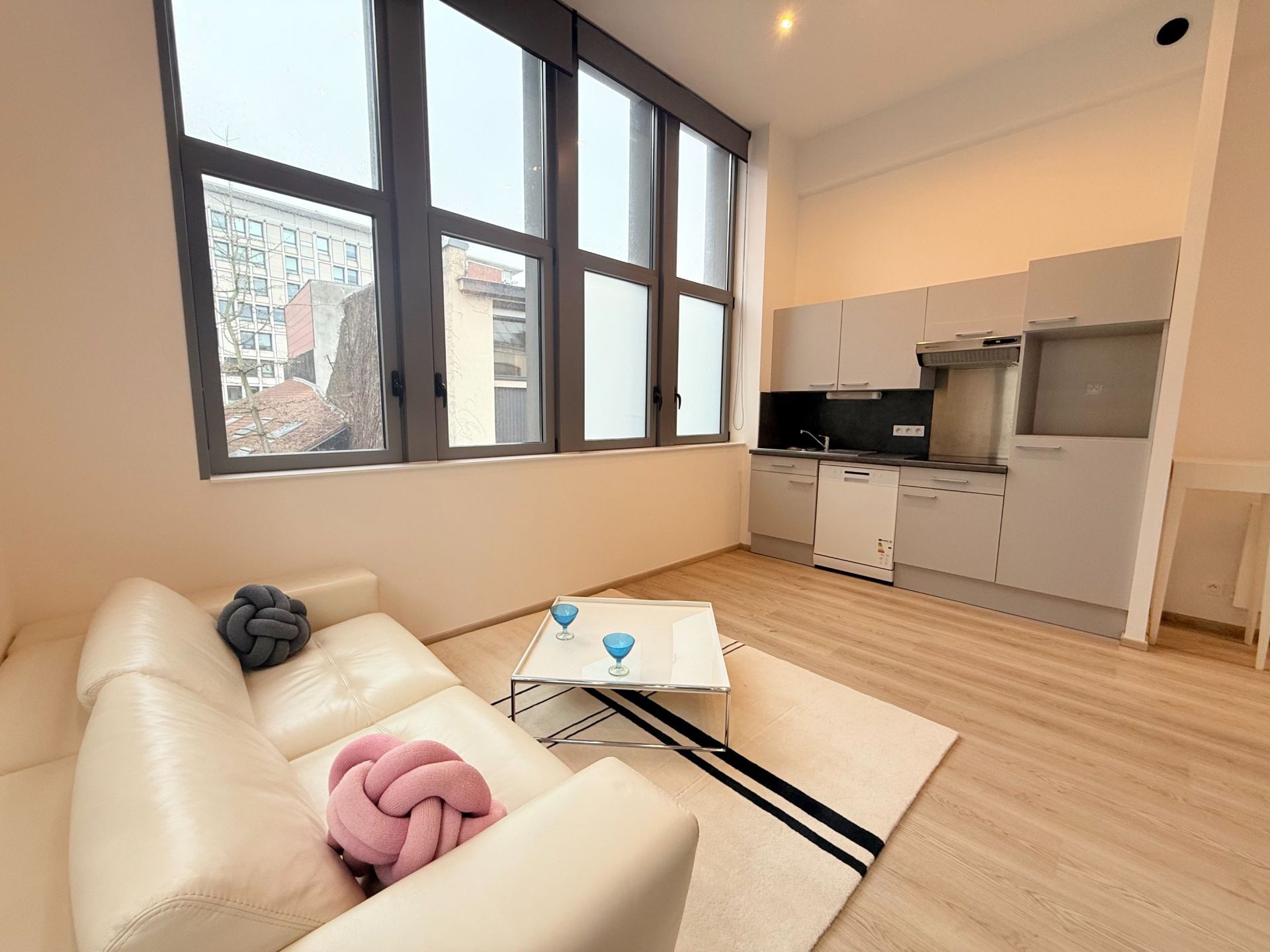 appartement de luxe 2 Pièces en vente sur LILLE (59800)