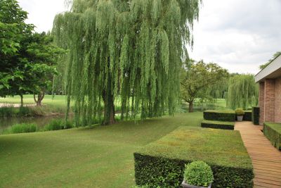 Vente Maison de luxe Villeneuve-d'Ascq 10&nbsp;Pièces 392&nbsp;m²