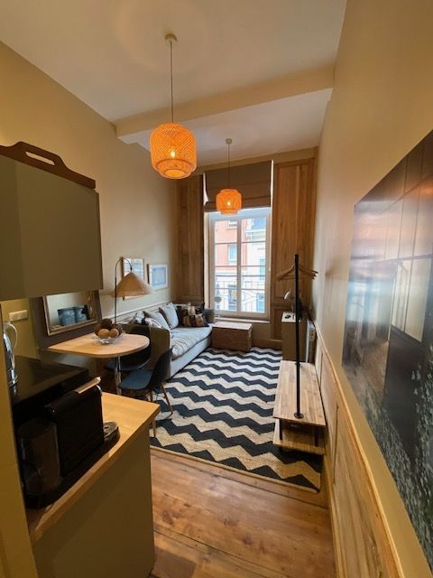 Rental Luxury studio Lille 1&nbsp;room 19&nbsp;m²