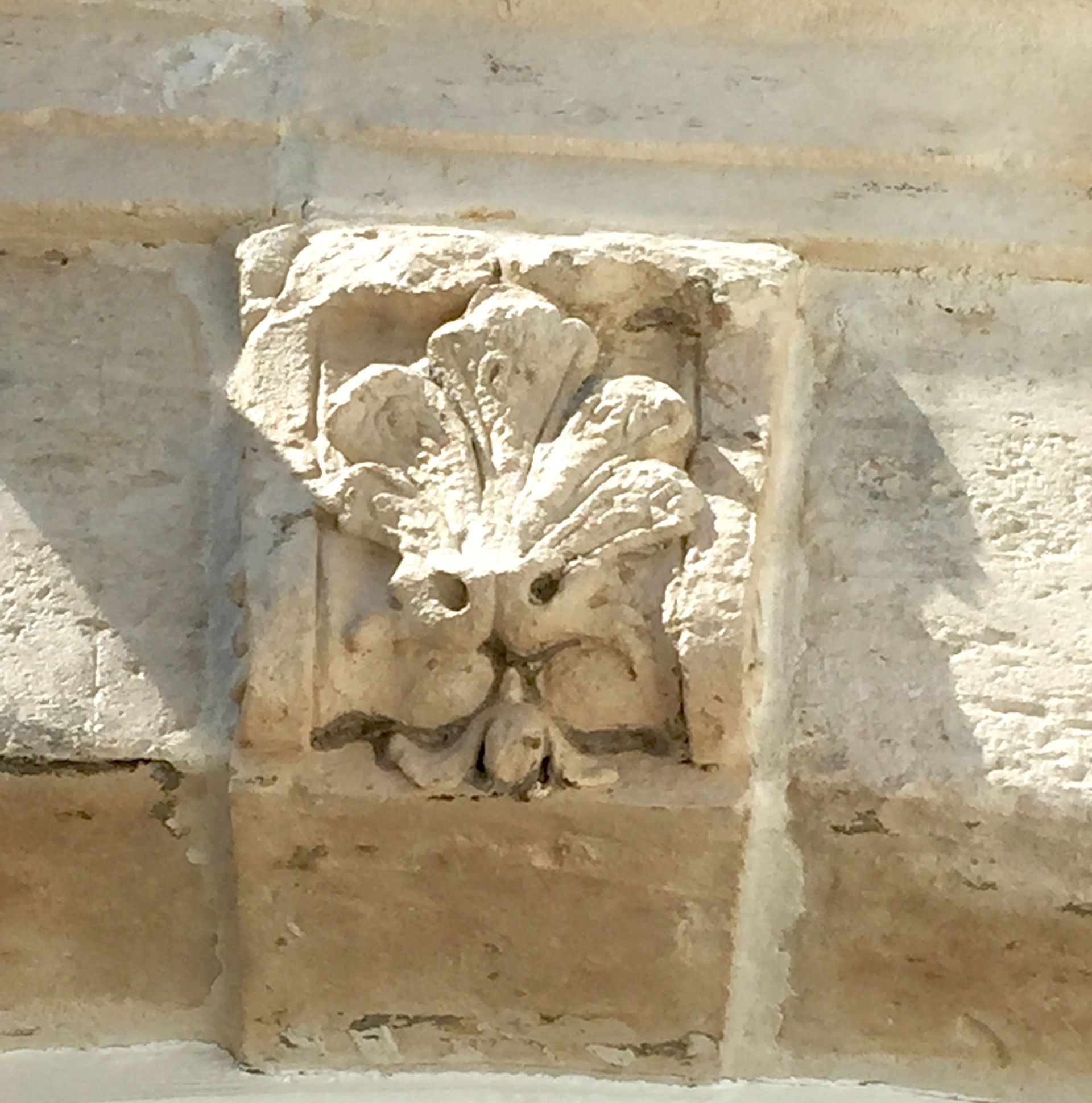 luxury apartment 2 Rooms for rent on LILLE (59000)