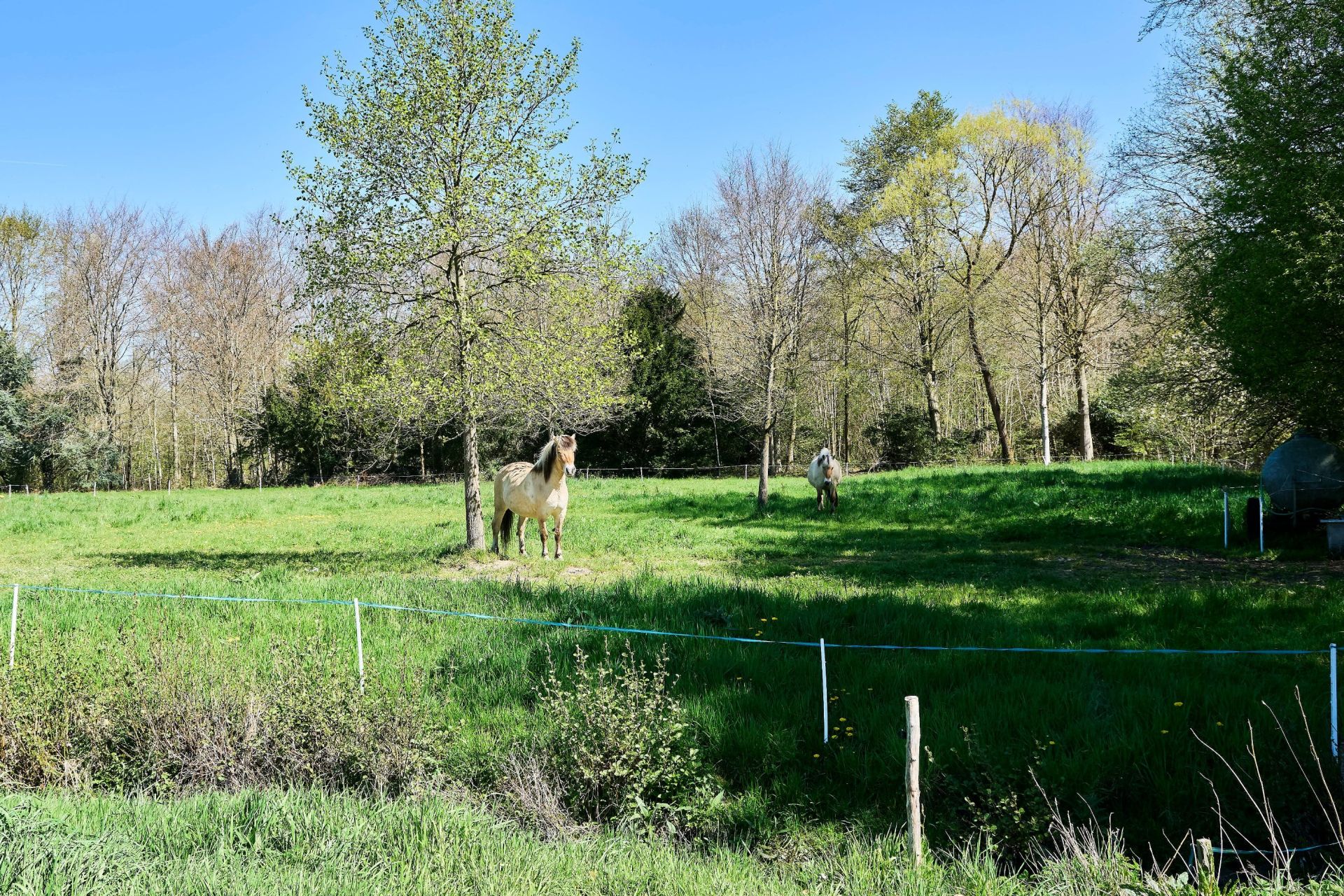 luxury house 20 Rooms for sale on LECELLES (59226)