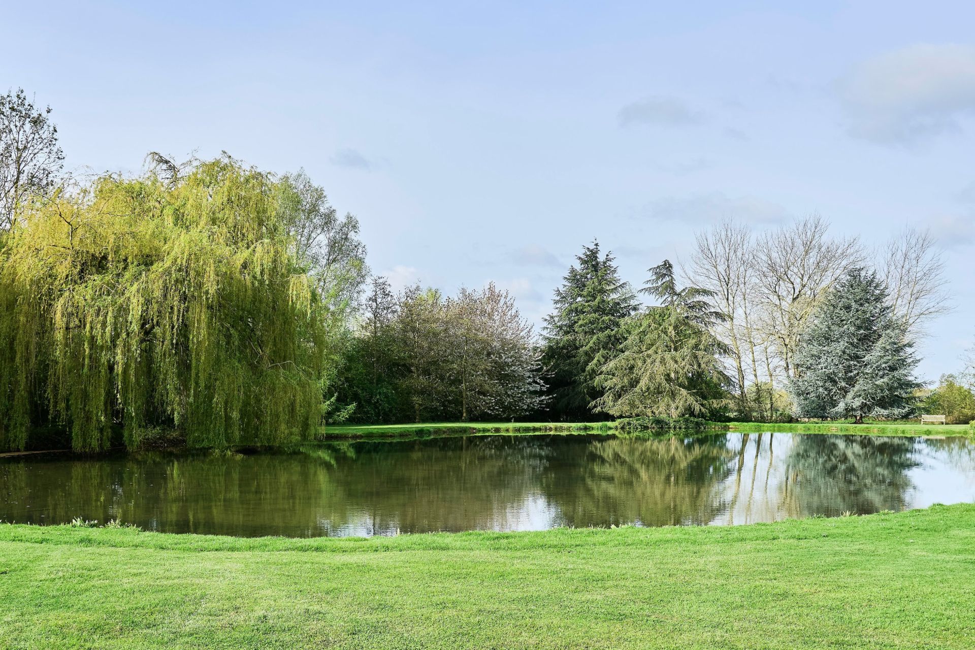 maison de luxe 13 Pièces en vente sur STEENWERCK (59181)