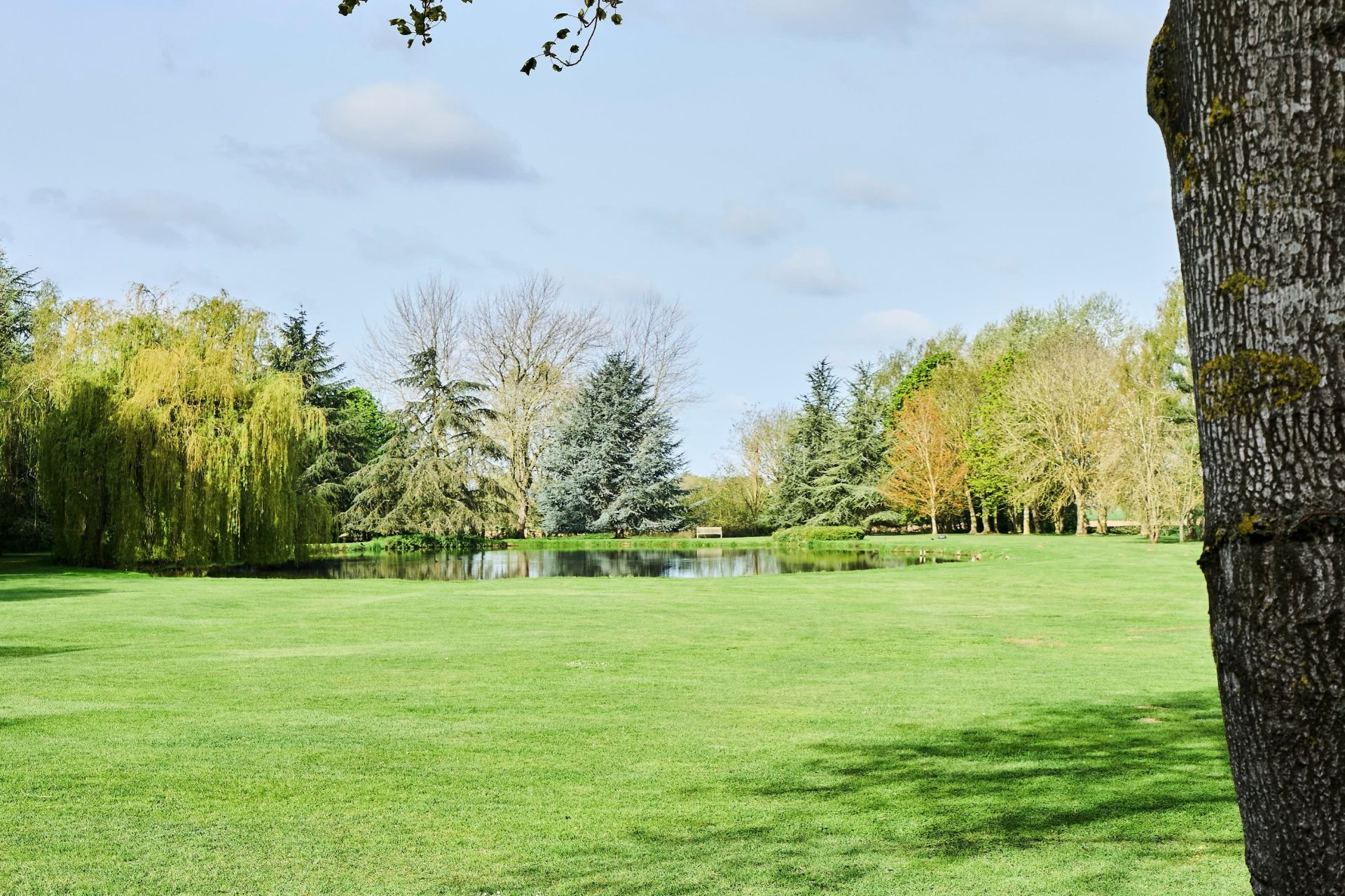 maison de luxe 13 Pièces en vente sur STEENWERCK (59181)