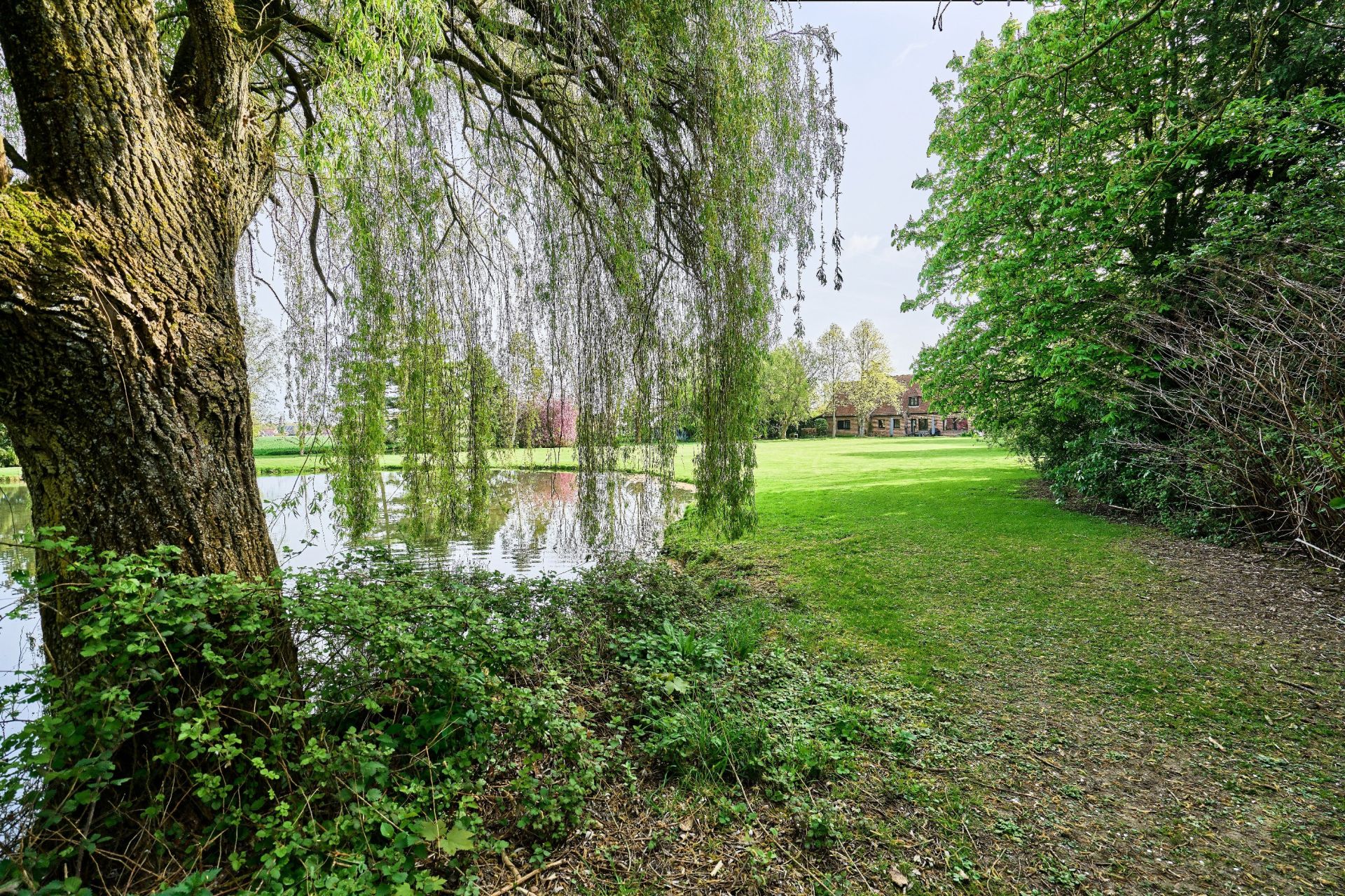 maison de luxe 13 Pièces en vente sur STEENWERCK (59181)