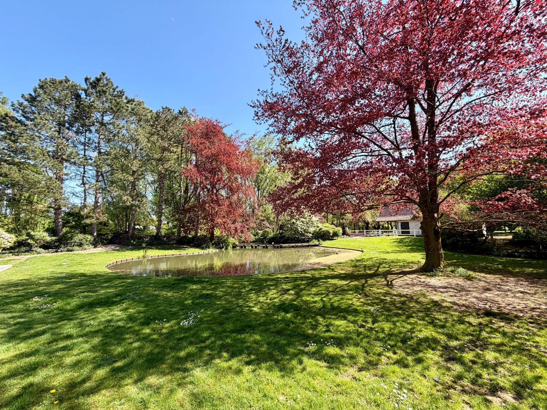 maison de luxe 15 Pièces en vente sur MERIGNIES (59710)