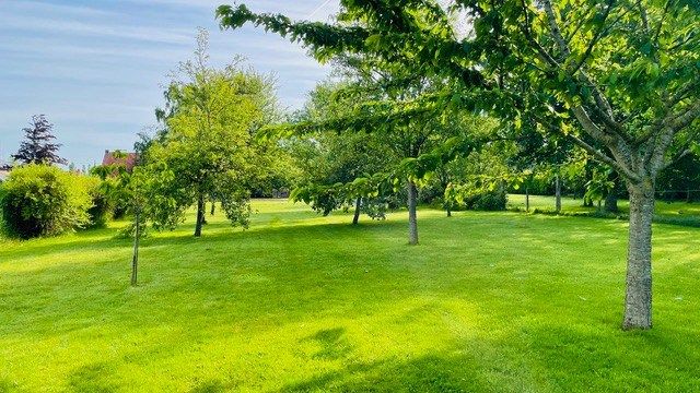 maison de luxe 7 Pièces en vente sur MONS EN PEVELE (59246)