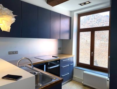 Rental Luxury duplex Lille 4&nbsp;Rooms 80&nbsp;m²