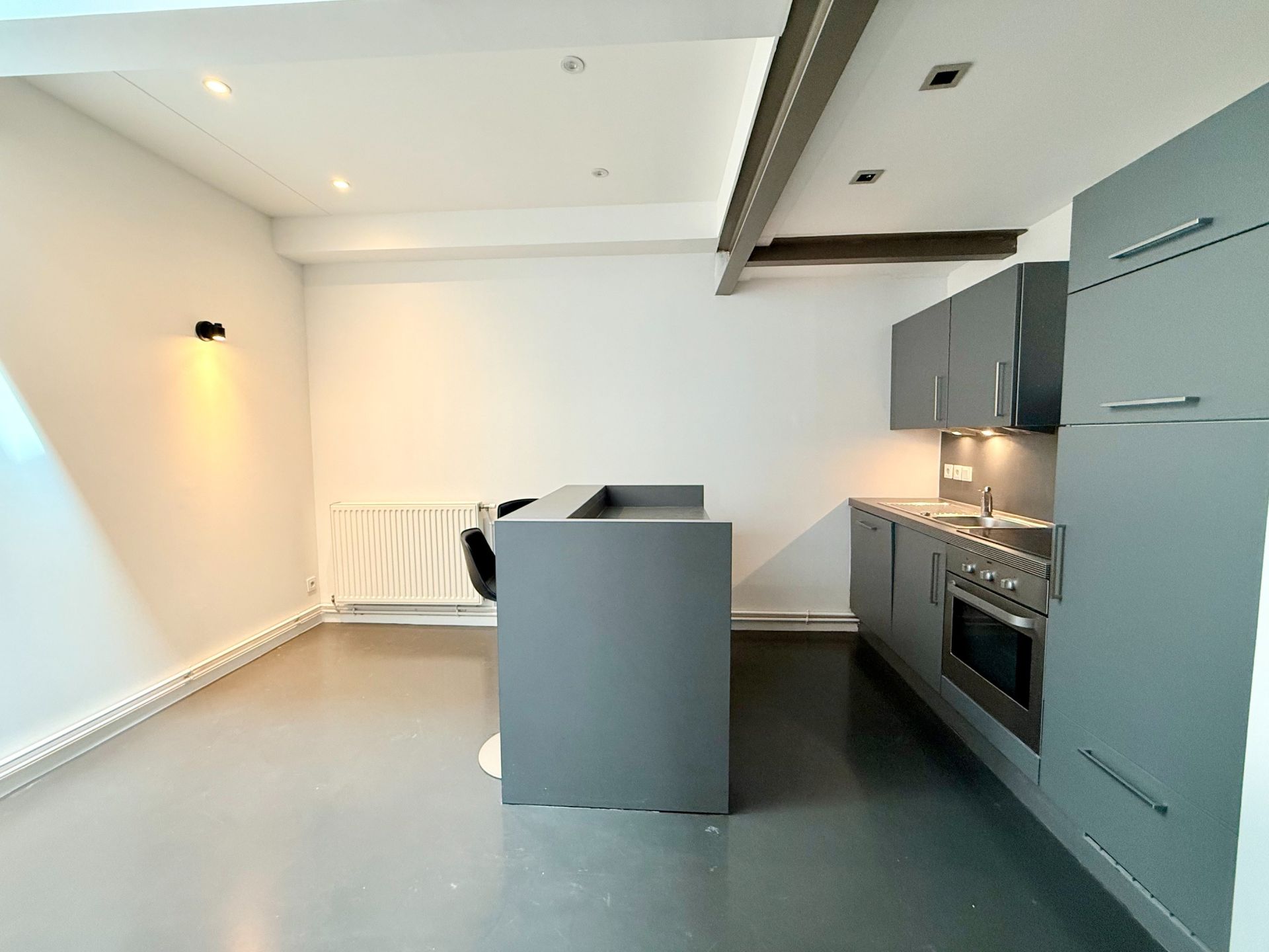 appartement de luxe 4 Pièces en vente sur LILLE (59800)