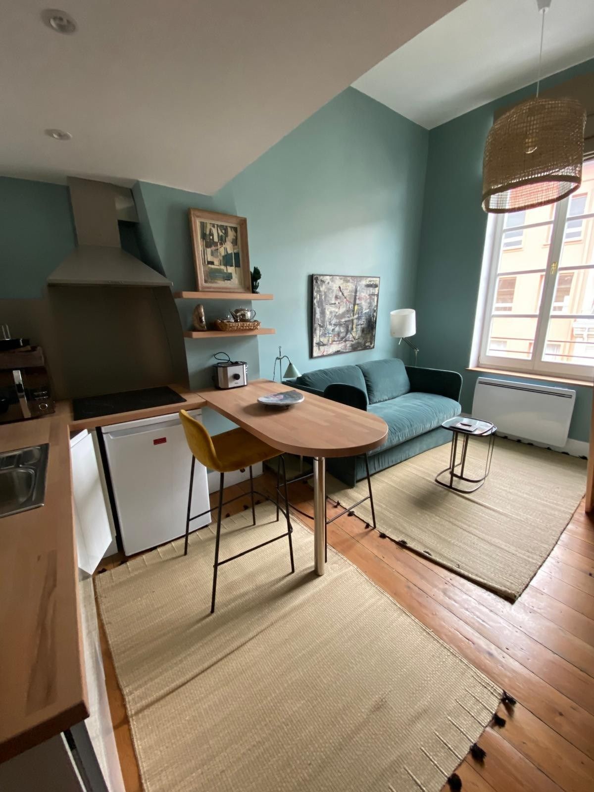 luxury duplex 2 Rooms for rent on LILLE (59800)