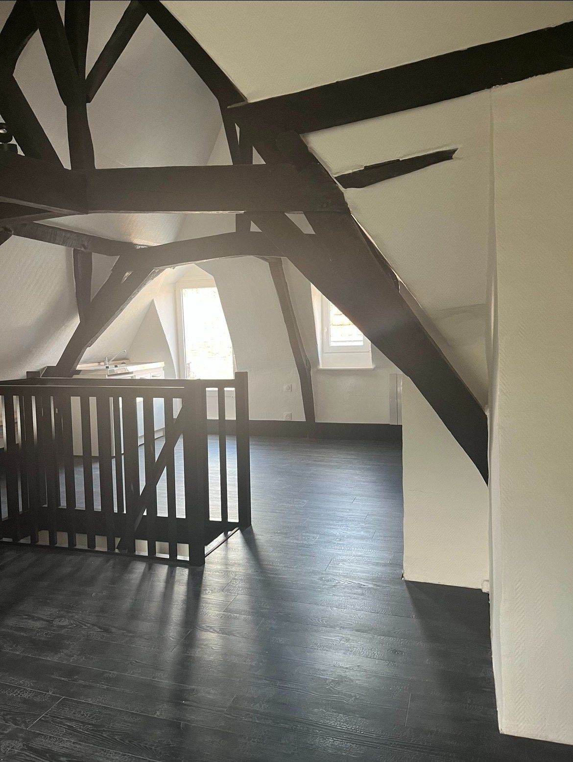 appartement de luxe 1 pièce en location sur LILLE (59000)