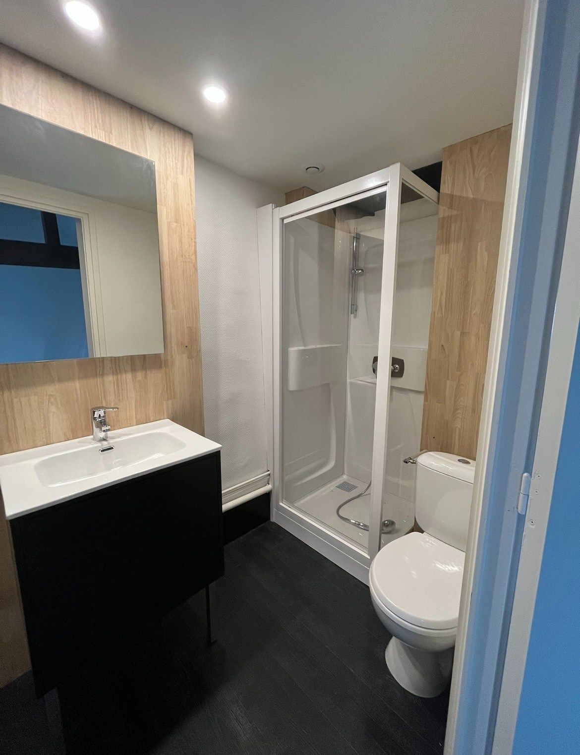 appartement de luxe 1 pièce en location sur LILLE (59000)