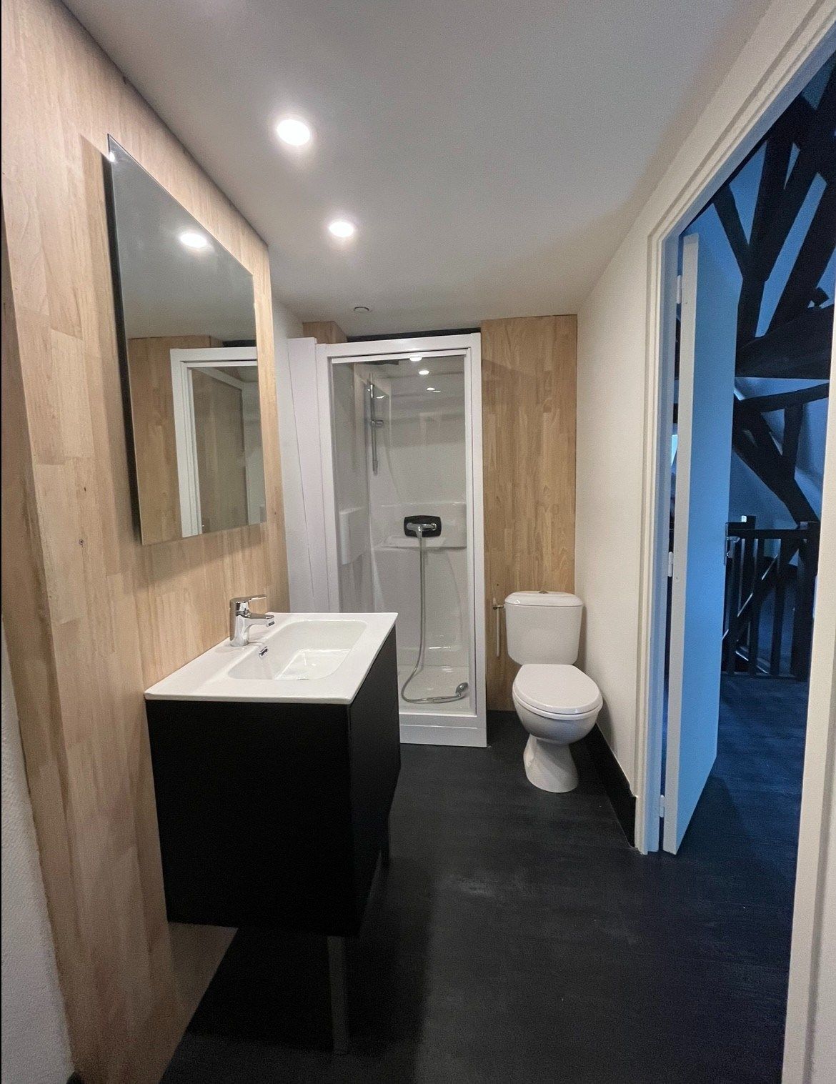appartement de luxe 1 pièce en location sur LILLE (59000)