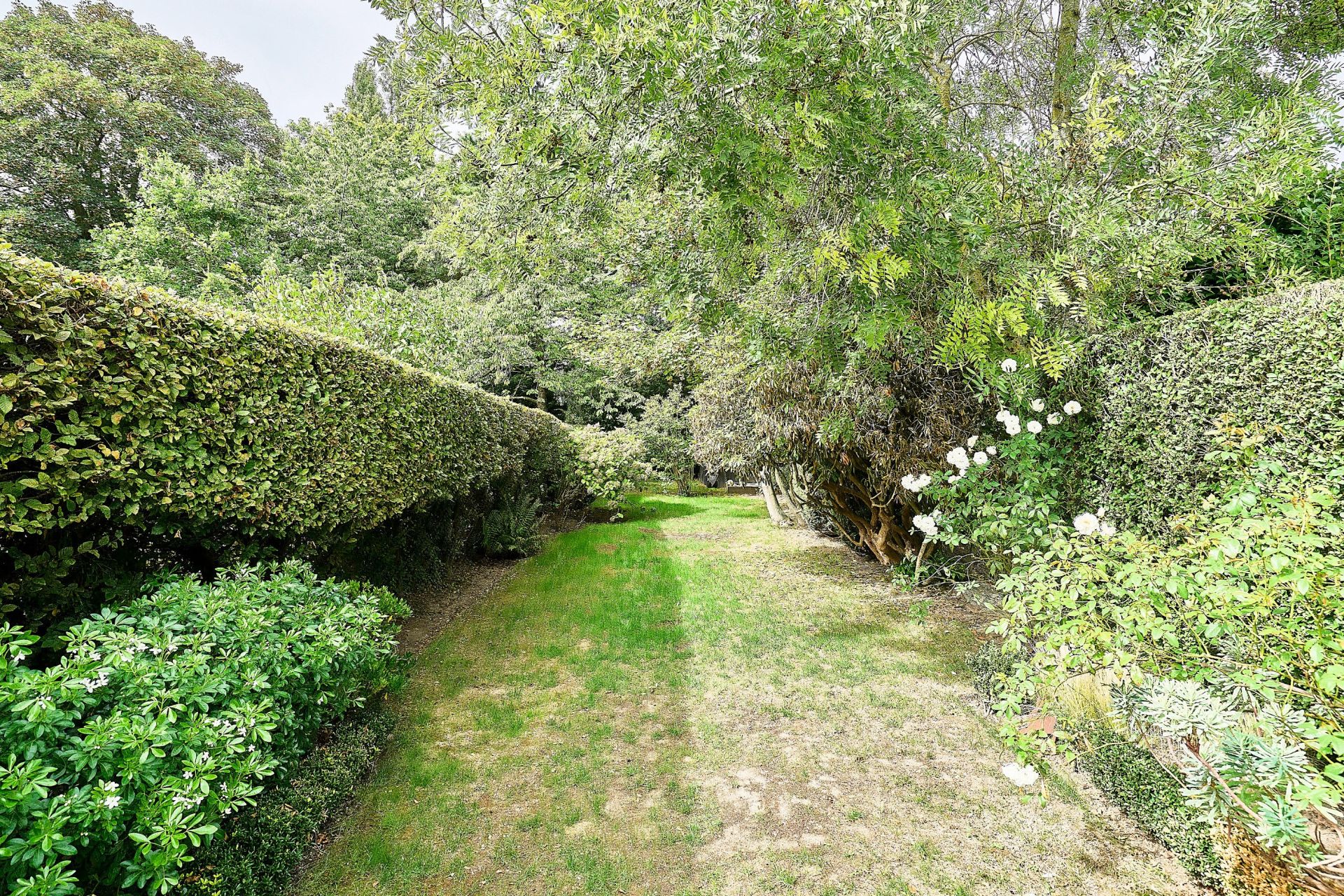 luxury house 7 Rooms for sale on MOUVAUX (59420)